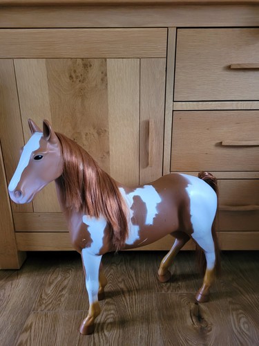 Our generation pinto - pinto, horse