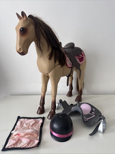 Our generation morgan - generation, horse