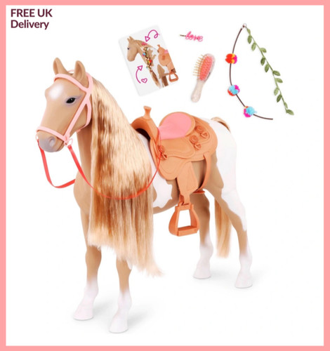 Our generation palomino - generation,