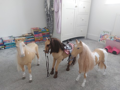 Our generation horse - generation, bundle