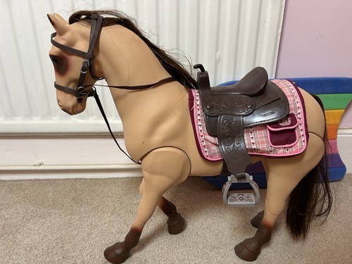 Our generation horse - our,