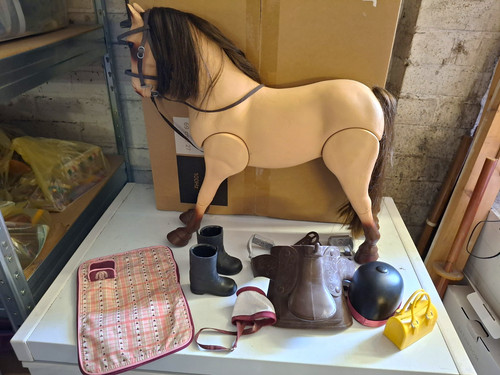 Our generation horse - our, generation,