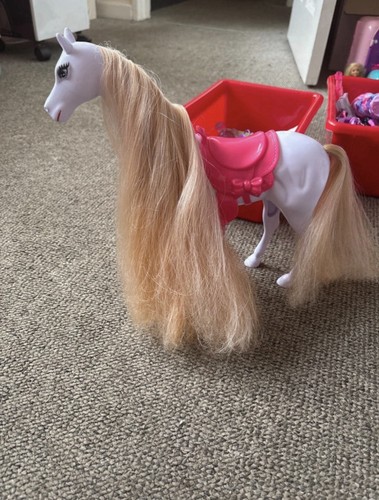 Mini horse our - our, generation