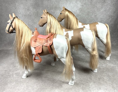 Our generation palomino - our,