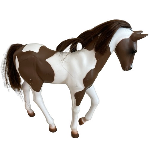 Our generation horse pinto - our,