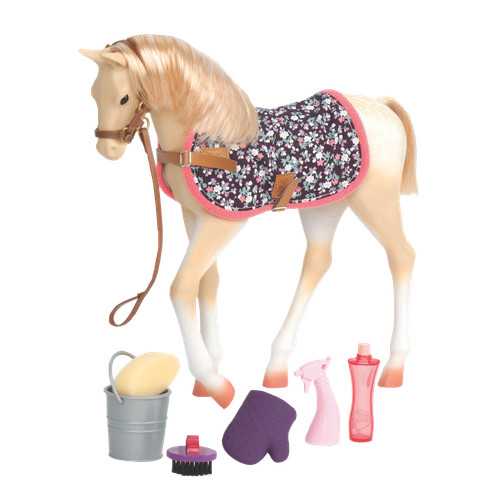 Our generation palomino - generation,