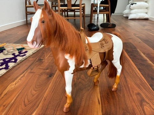 Our generation horse - generation,