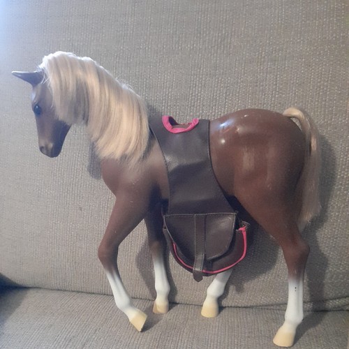 Our generation foal - foal, baby
