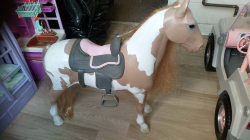 Our generation horse - generation, horse,